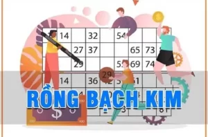 Soi cầu rồng bạch kim 247